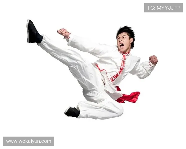 国内格斗比赛：探索中国武术与现代格斗的完美结合